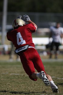 开云体育足球-五大联赛争四阶段关键球员贡献值差异对比，五大联赛引援